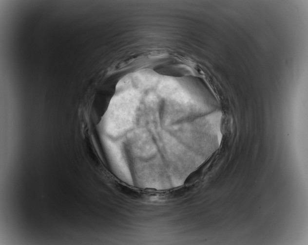 X0000087590564200705251904