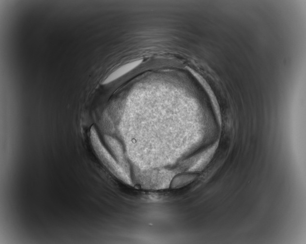 X0000087590565200705251904