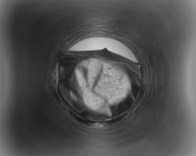 X0000087590566200705251904