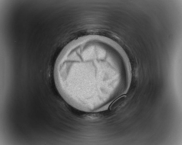 X0000087590567200705251904