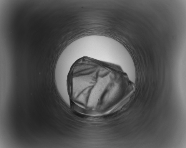 X0000087590568200705251904