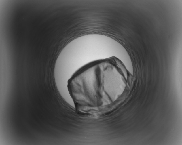 X0000087590570200705251904