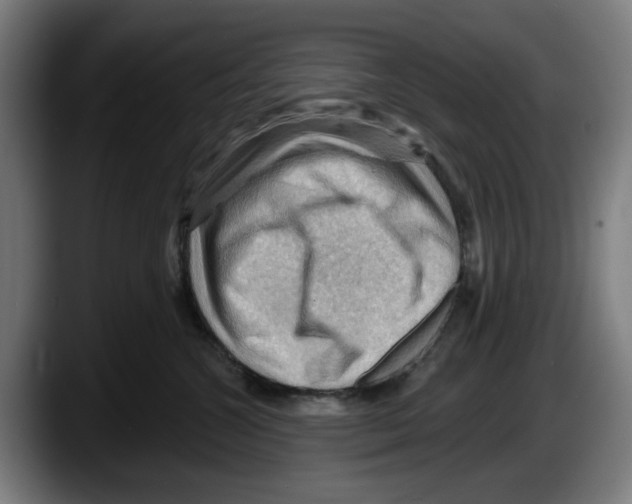 X0000087590572200705251904