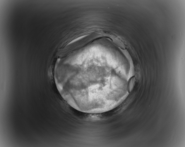 X0000087590573200705251904
