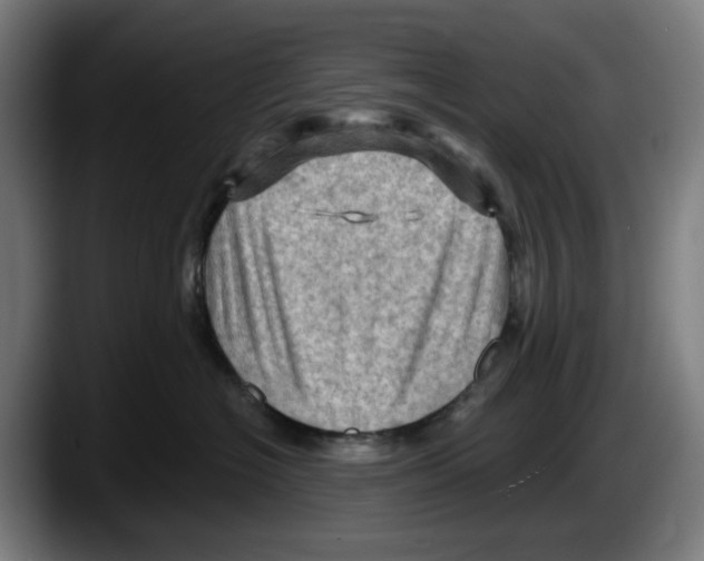X0000087590574200705251904