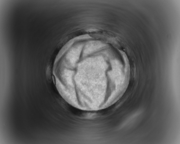 X0000087590575200705251904