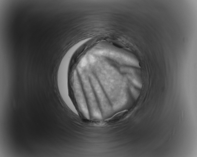 X0000087590576200705251904