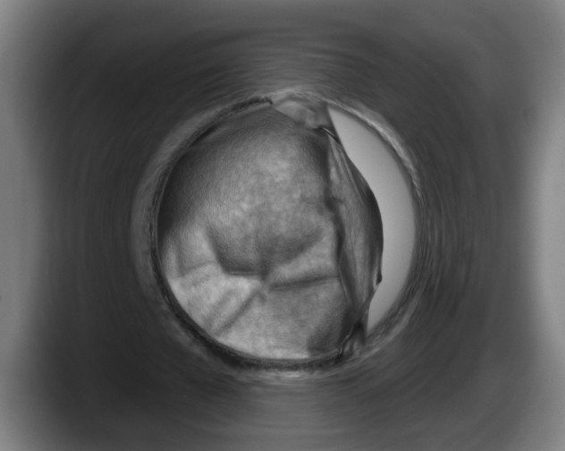 X0000087590577200705251903