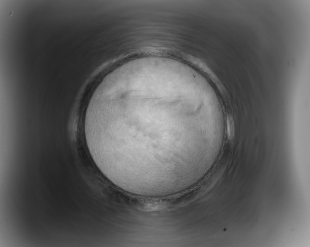 X0000087590579200705251903