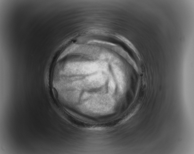 X0000087590581200705251903