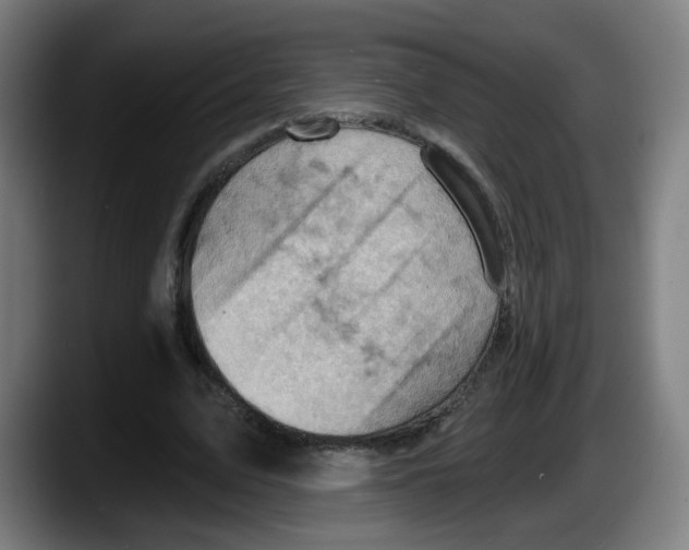 X0000087590583200705251903