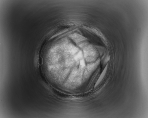 X0000087590585200705251903