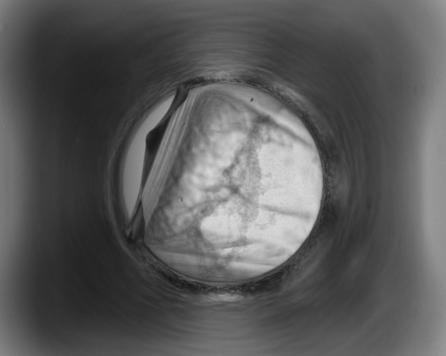 X0000087590586200705251903