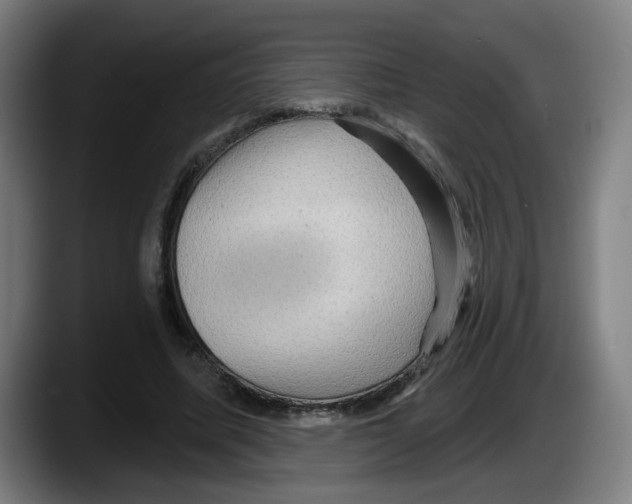 X0000087590587200705251903