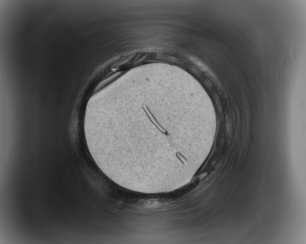 X0000087590588200705251903