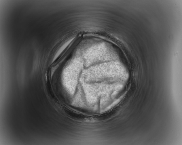 X0000087590591200705251903