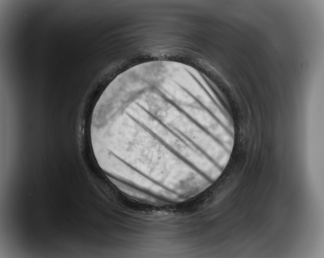 X0000087590592200705251903