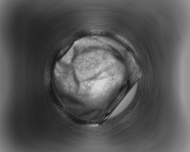 X0000087590593200705251903