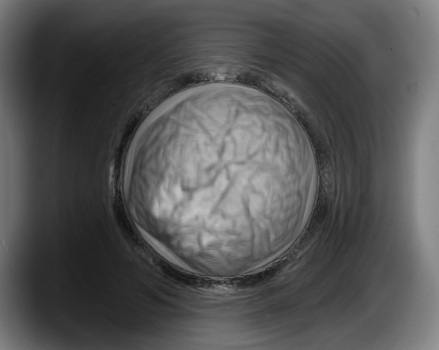 X0000087590594200705251903