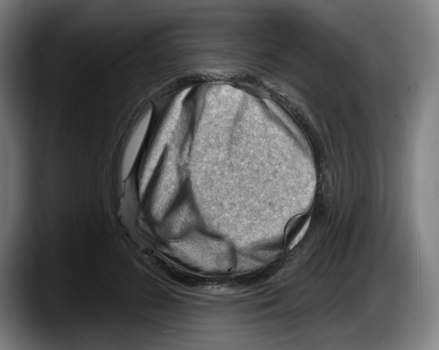 X0000087590596200705251903
