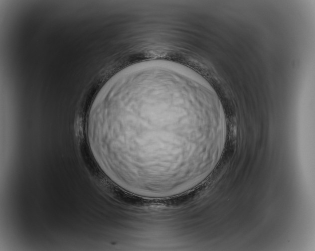 X0000087590598200705251903