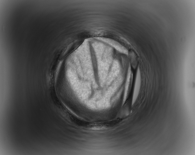 X0000087590601200705251903