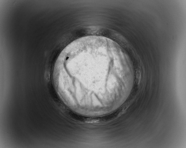 X0000087590602200705251903