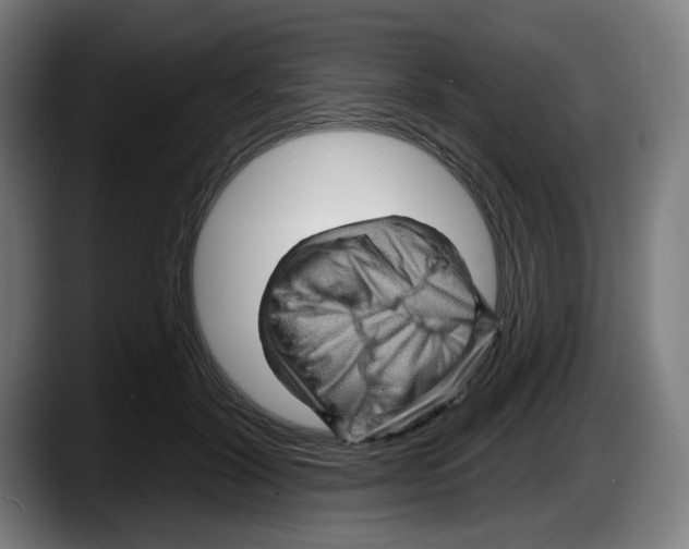 X0000087590604200705251903