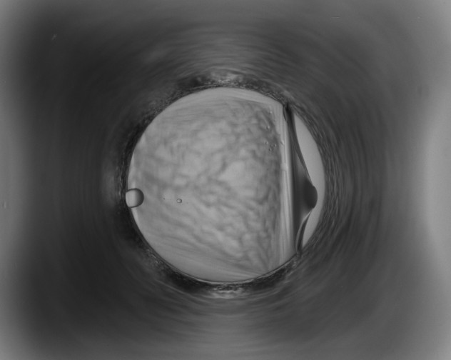 X0000087590606200705251903