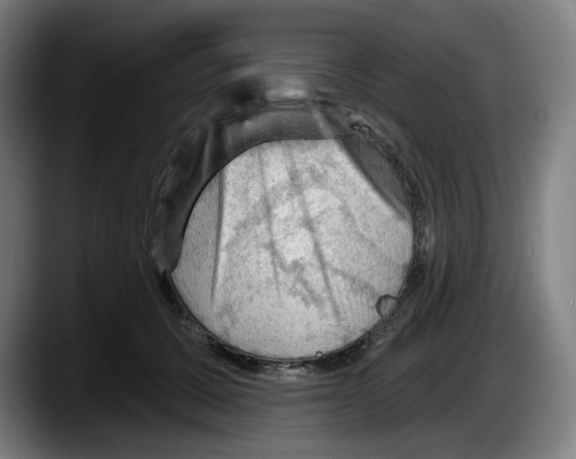 X0000087590607200705251903