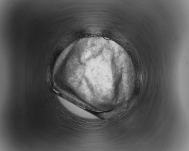 X0000087590609200705251903