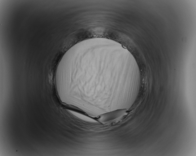 X0000087590610200705251903