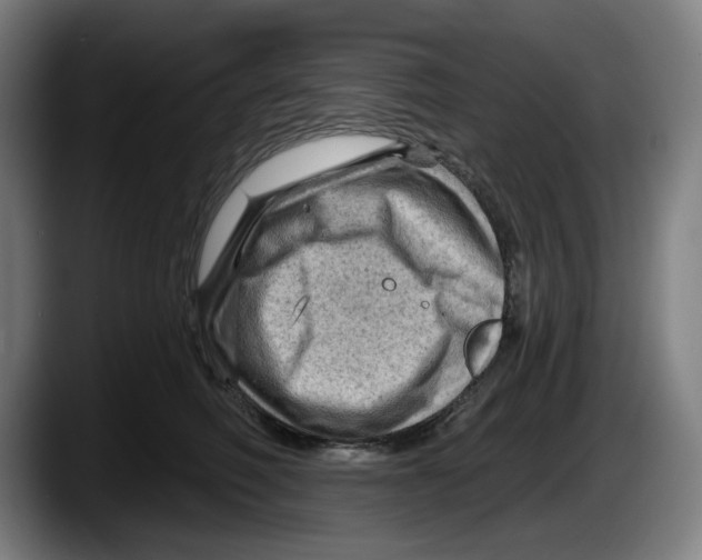 X0000087590614200705251903