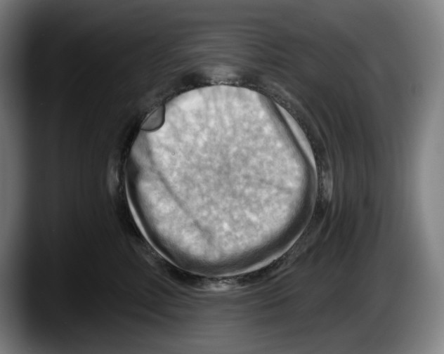 X0000087590618200705251903