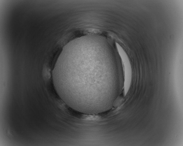 X0000087590621200705251903