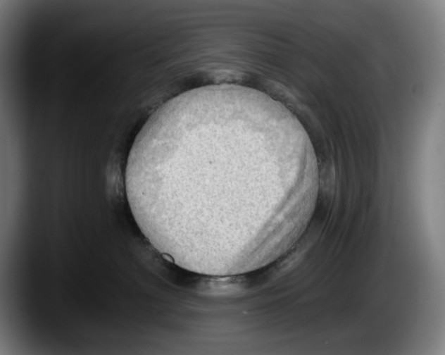 X0000087590622200705251903