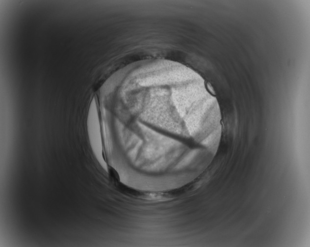 X0000087590623200705251903
