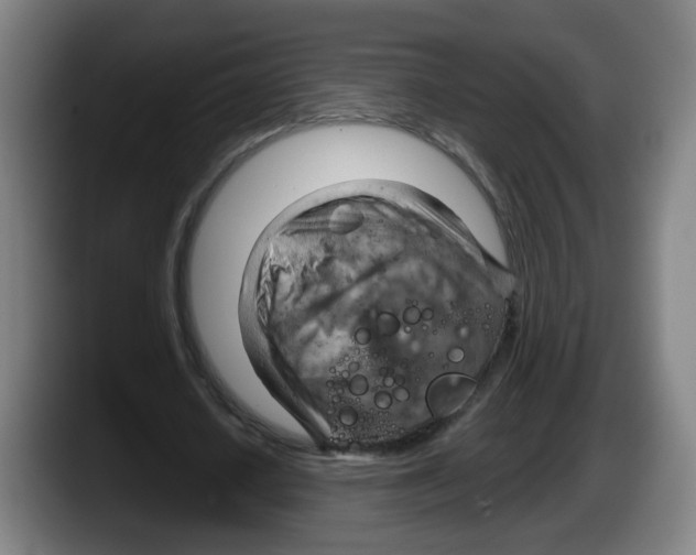 X0000087590626200705251902