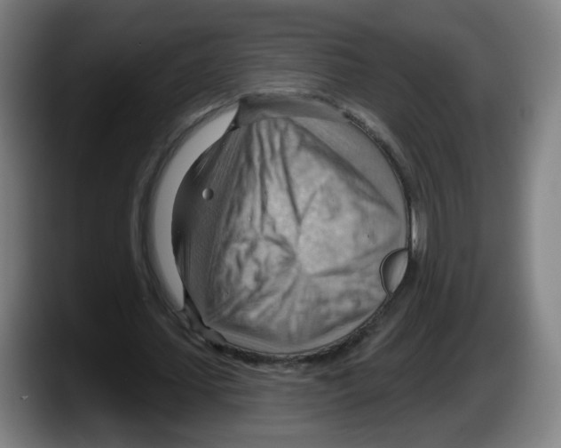 X0000087590627200705251902