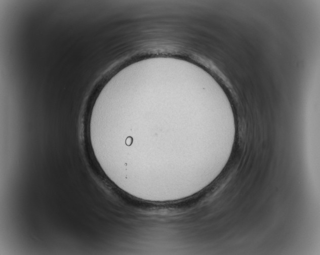 X0000087590629200705251902