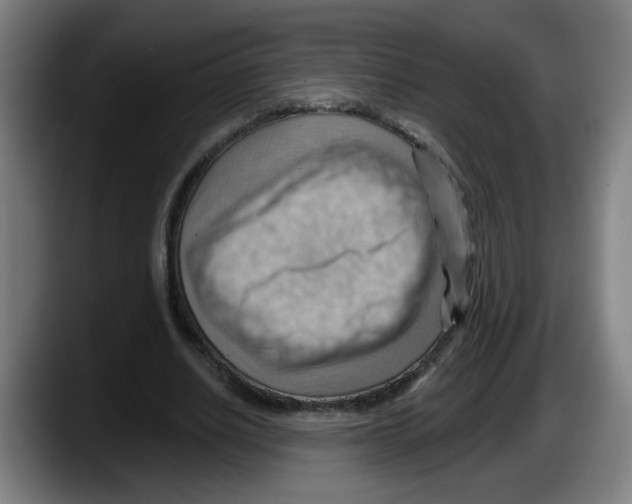 X0000087590630200705251902