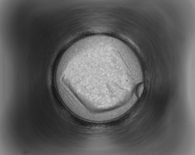 X0000087590631200705251902