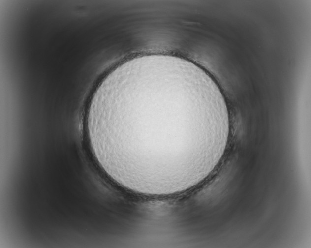 X0000087590632200705251902