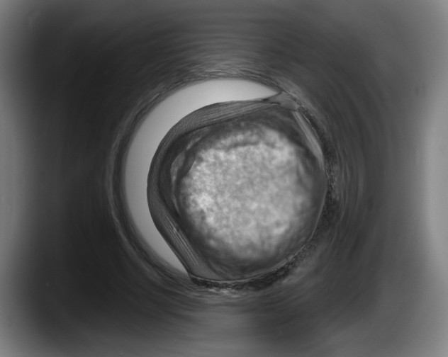 X0000087590634200705251902