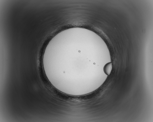 X0000087590635200705251902