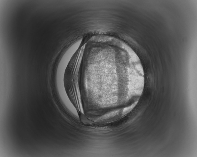 X0000087590638200705251902