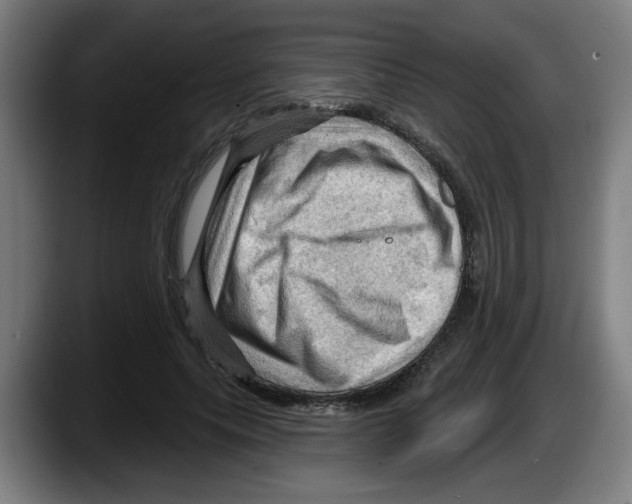 X0000087590639200705251902