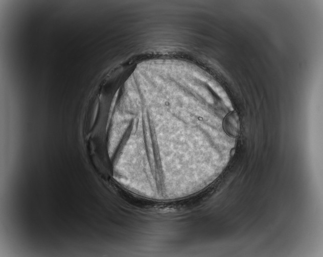 X0000087590640200705251902