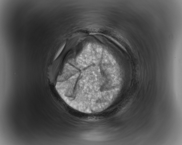 X0000087590641200705251902
