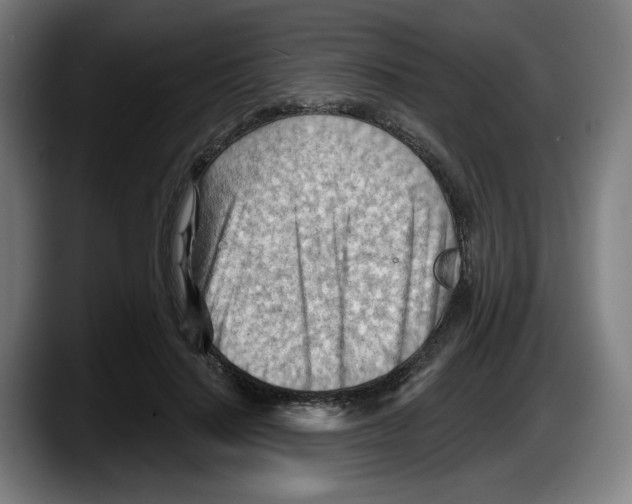 X0000087590644200705251902